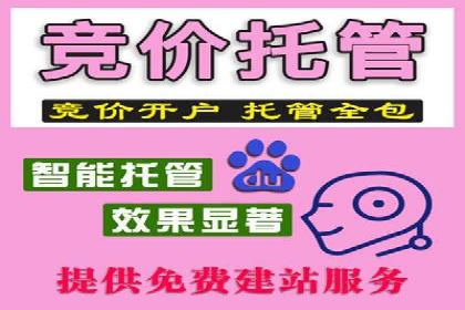 某某SEM服务公司如何帮助企业实现ROI最大化